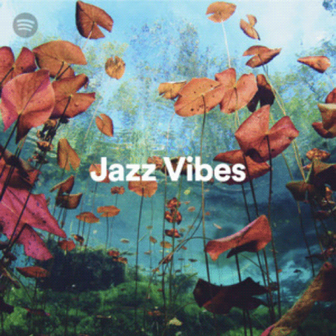 Spotify Blog Image 10