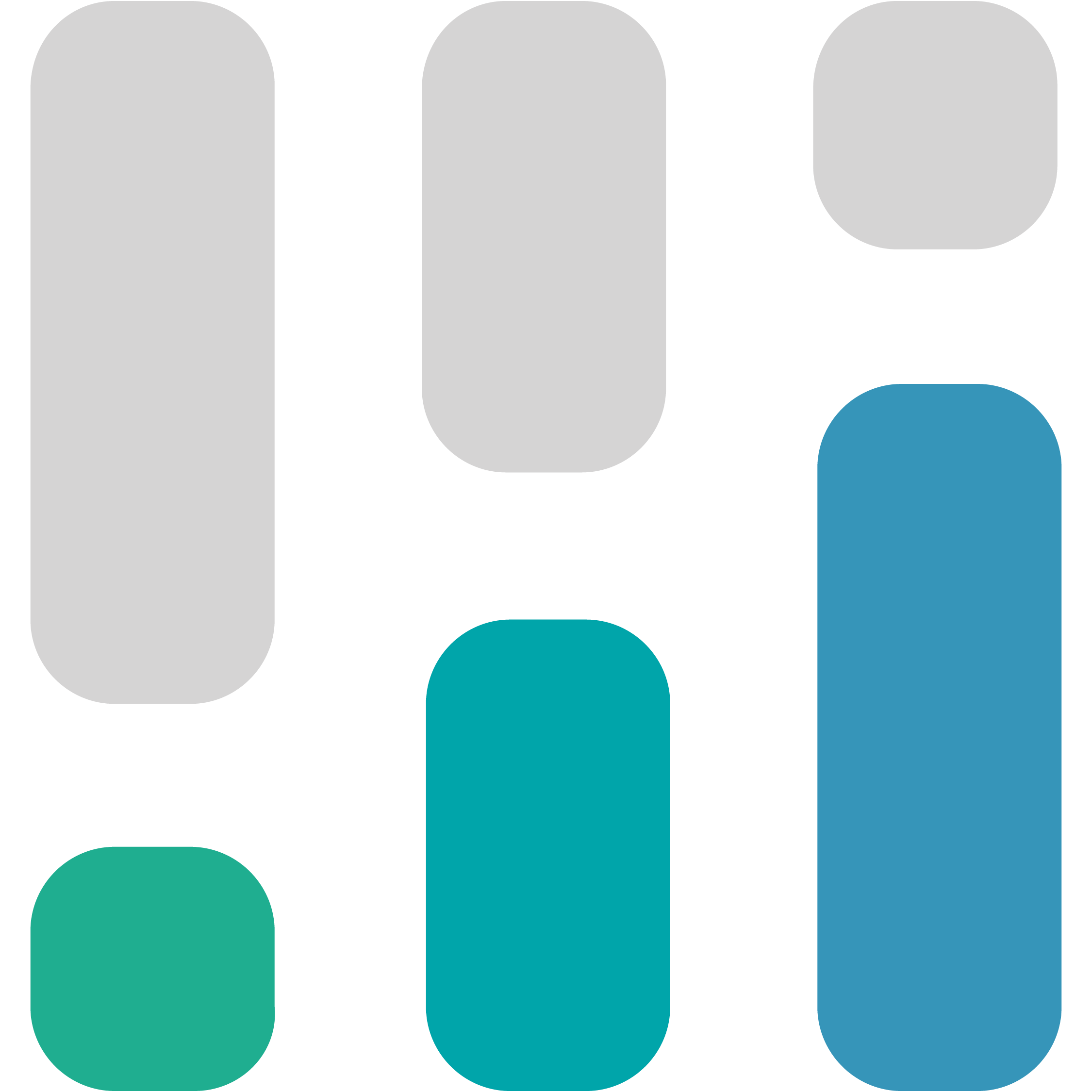 CINC Logo