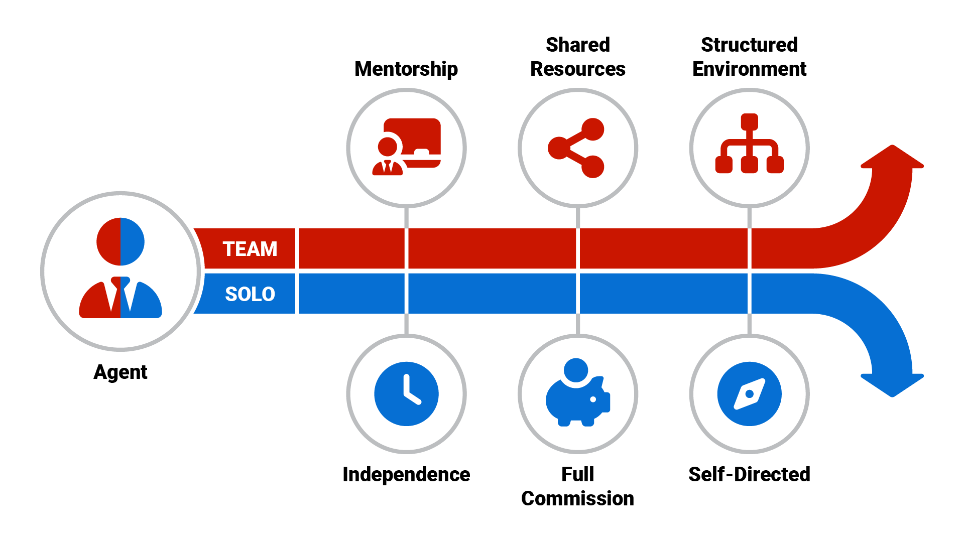 two diverging paths with icons representing key differences: Team path (mentorship, shared resources, structured environment) and Solo path (independence, full commission, self-directed)