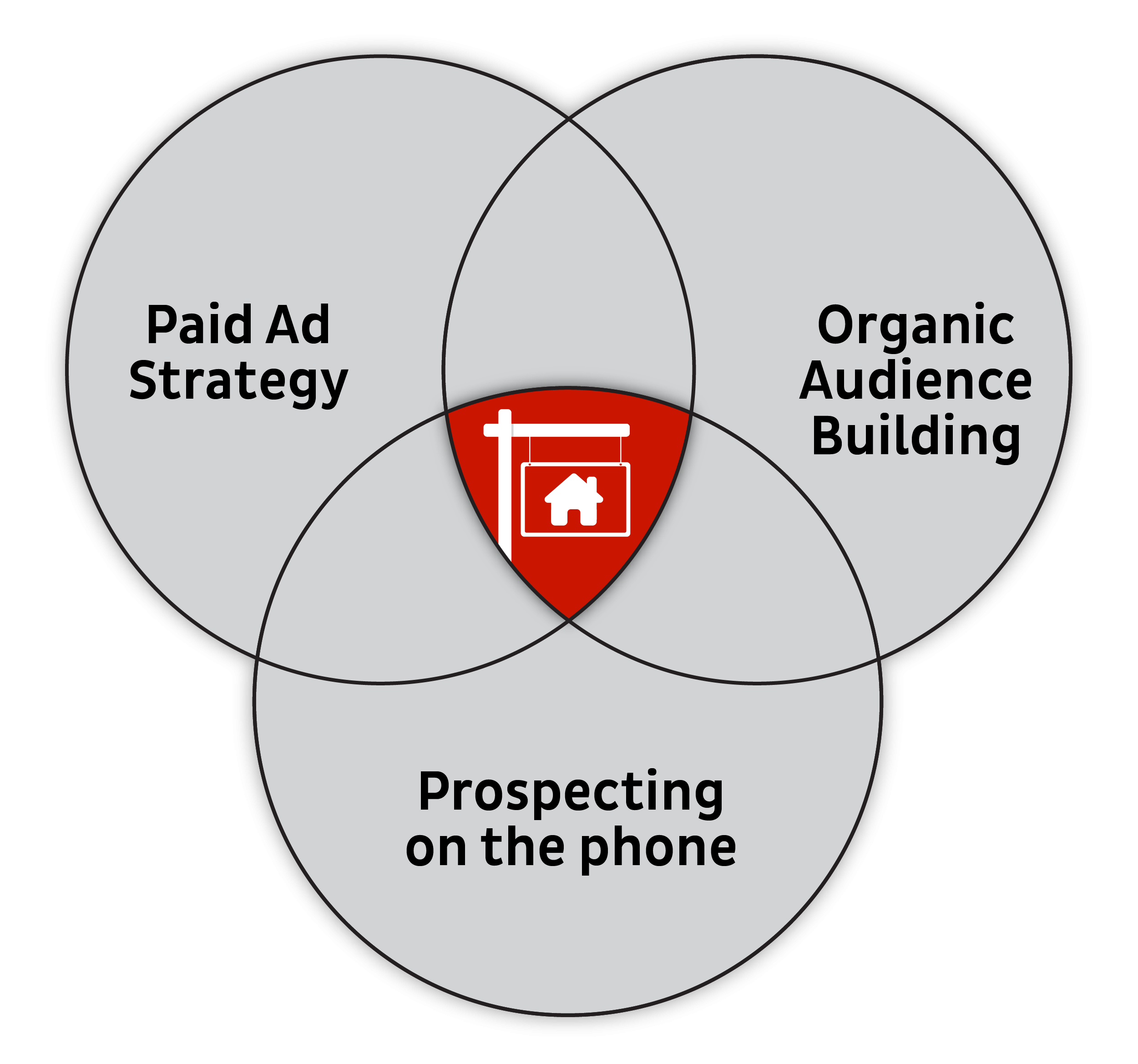 Three vehn diagram circles that lead to transactions: Paid ads strategy, Organic Audience Building, and Prospecting on the Phone