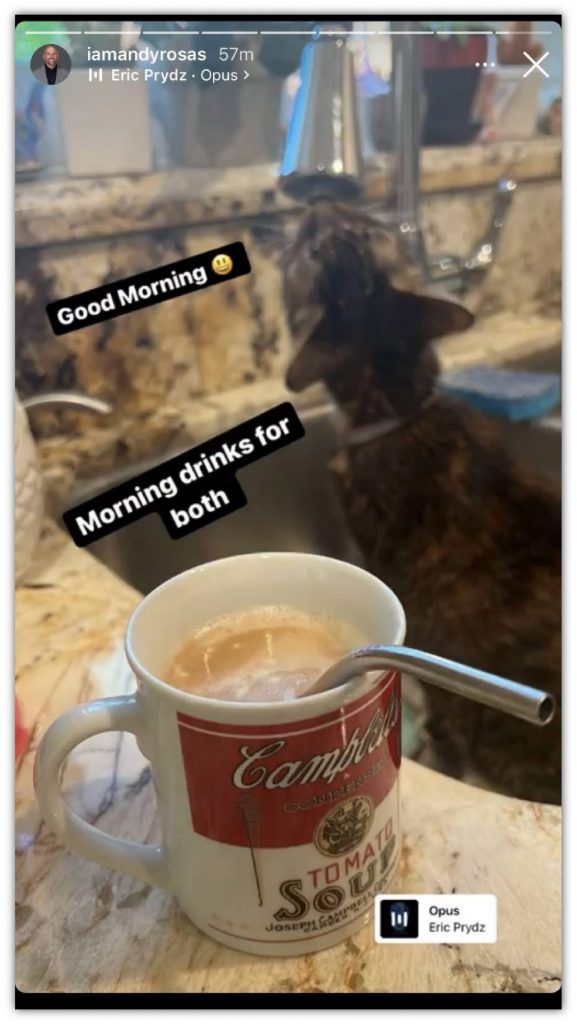 Instagram Story Image A black cat with pointed ears is drinking from a white coffee mug. Some Text is displayed above the image